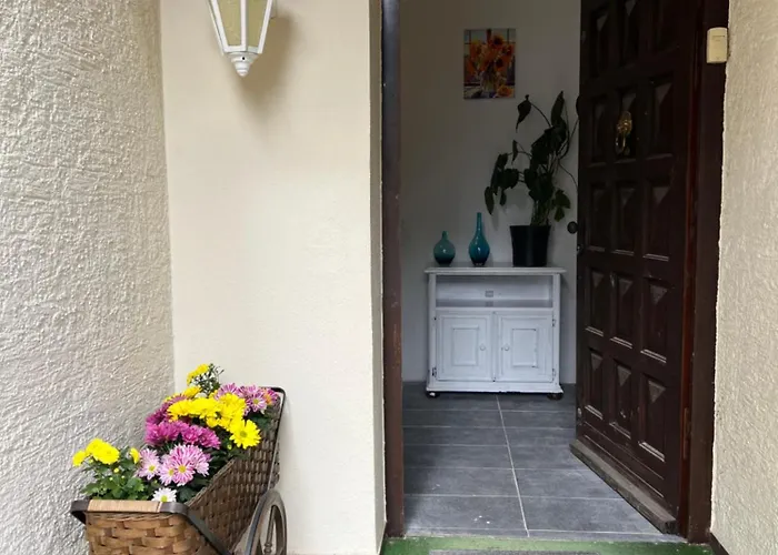 Charmante In * Ульм