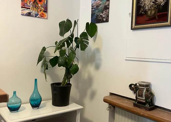 Charmante In Апартаменты